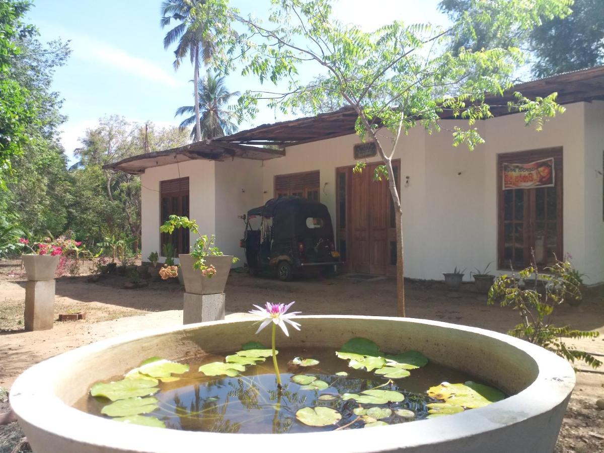 Silent Peacock Villa And Peacock Cafe Tangalle Eksteriør bilde